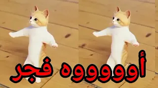 اغنية باسم فجر الحلوة فجر اغنية فجر السعودية الكويت تركيا العراق قطر البحرين الجزائر دبي جده الرياض 