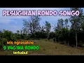 Download Lagu  Grumbul Pesugihan Rondo songo rahasia kuno terkuak gamblang di Hutan Ngasem Bojonegoro.