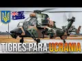 Lagu Australia lo hace de nuevo: Tigres para Ucrania