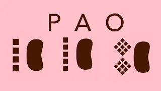 What is PAO and is it good for blindsolving 4BLD 5BLD MBLD