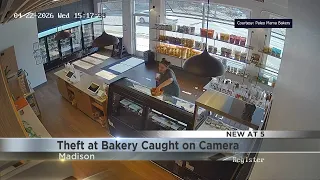 Madison bakery police look for suspect stealing money from tip basket