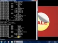 dir command wildcard char in dos