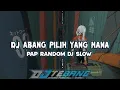 Download Lagu DJ ABANG PILIH YANG MANA PAP RANDOM DJ SLOW