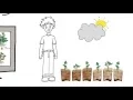 Developing hypothesis and scientific questions