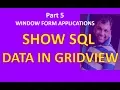 How to Bind or Fill Data to the Windows Forms DataGridView Control