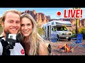 Download Lagu 🔴 IRL STREAM: BEREN EN LUIPAARDEN SPOTTEN IN HET WILD! 🐻🚐 - Timestream DAG 36