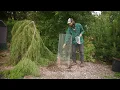 Download Lagu How to plant trees from seed