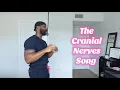 The Cranial Nerves Song