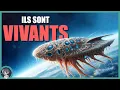 Download Lagu Des vaisseaux ORGANIQUES survolant la TERRE ! - On Se l'Demande #157 - Le JDE