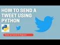 How To a Home Feed Tweets Using Python - Twitter API Tutorial