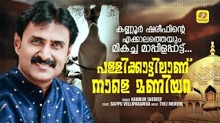 pallikattilanu nale maniyara mappilappattu audio song kannur shareef bappu velliparamba