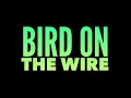 Rita Coolidge - Bird On The Wire (SongDecor)