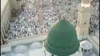 حن قلبي له فاض شوقا إليه    دندنها