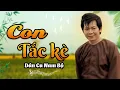Download Lagu LK Dân Ca Miền Tây 2024, Nhạc Trữ Tình Quê Hương - Dân Ca Miền Tây