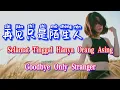 Download Lagu Zai Jian Zhi Shi Mo Sheng Ren 见只是陌生人Selamat Tinggal Hanya Orang Asing Teks Indonesia