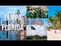 SHOULD YOU MOVE TO TAMPA FLORIDA BLACK AMERICANS