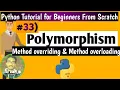 What is Polymorphism in Python Programming Python Tutorial for Beginners From Scratch Python