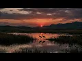 Bir Çift Turna Gördüm – Anonim  | Anatolian Folk Bendir