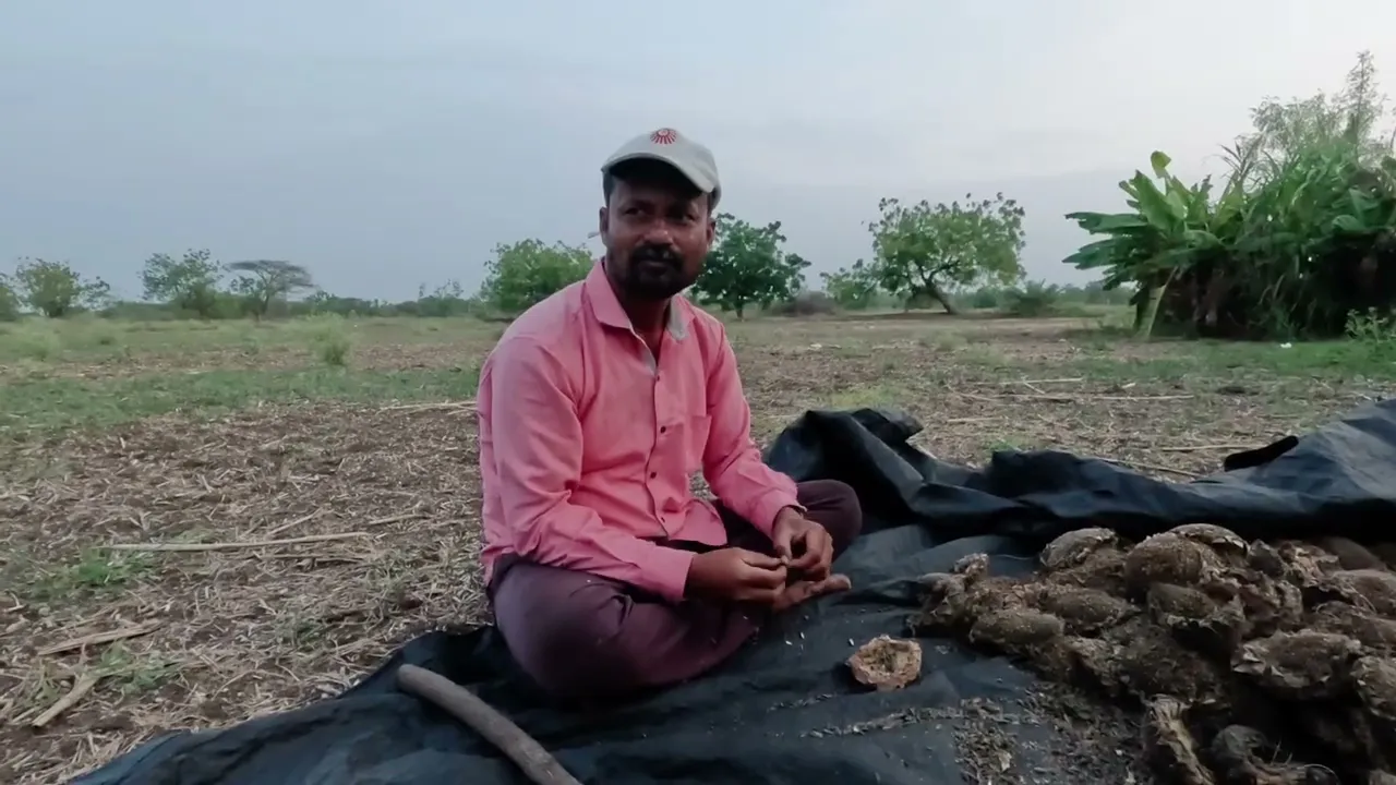 मातीततल्या गोष्टी