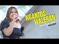 Download Lagu NGANTOS WALERAN Ressy Kania Dewi (Ujang Choplox) Wulan Nada, Pernikahan Sinta \u0026 Andri, Kuningan