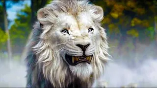 الاسد موفاسا بيقاتل قطيع من الاسود للتربع على عرش ملك الغابه ملخص Mufasa The Lion King 