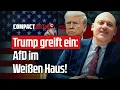 Download Lagu Trump greift ein: AfD im Weißen Haus!💥