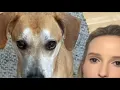 One investigative tip to do before going to a new vet