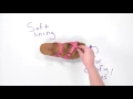 SAS Women s Sandal - Shelly