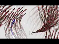 red ogre generative art p5 js boids part2 flockiing Lv3
