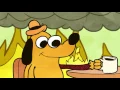 This is Fine