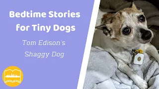 Download Bedtime Stories for Tiny Dogs; Tom Edison's Shaggy Dog MP3