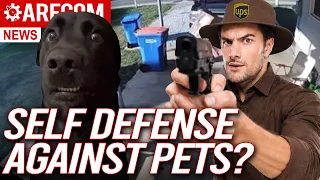 Mailman vs Dog Self Defense Against Animals ARFCOM