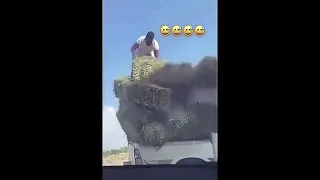 خلاص كفايه ههههههههههههههههه 