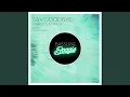 Download Lagu Say Goodbye (Original Mix)
