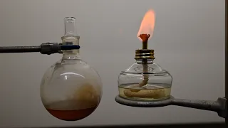 I Distilled Pine Sap Into 4 Fractions and Found What a Forest Smells Like