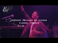 Vulfpeck Live in France