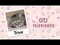 Trixie is OTJ 2025