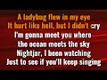 Turnover - Nightjar (karaoke)(by request)
