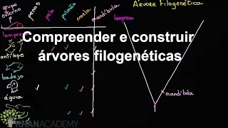 Compreender e construir árvores filogenéticas |A evolução e a árvore da vida |Biologia |Khan Academy