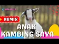 Download Lagu 🔴 LAGU ANAK KAMBING SAYA REMIX - Lagu Anak Terbaru
