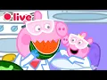 LIVE Cutest Baby Evie Episode Peppa Pig Best Big Sister Moments Kids Cartoons FULL Episodes