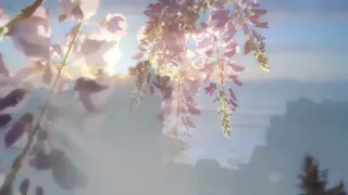 نشيد يامنزل الآيات والفرقان 