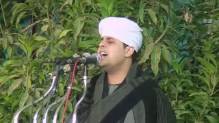 افراح ال عليجي بسوهاج طما قاوغرب قصرالعلي مهدي ياسين التهامي 