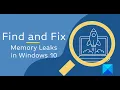 Find and fix Memory Leaks in Windows