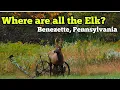 Where are all the Elk Benezette Pennsylvania