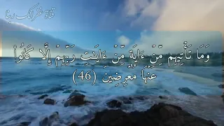 فارس عباد سورة يس مكتوبة بتقنية رائعة وجودة عالية 