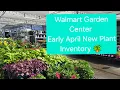 Walmart Garden Center - Early April New Plant Inventory Nice Plants Georgia 8a