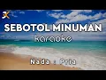 Download Lagu KARAOKE SEBOTOL MINUMAN - LEO WALDY | NADA PRIA | COVER KORGPA50