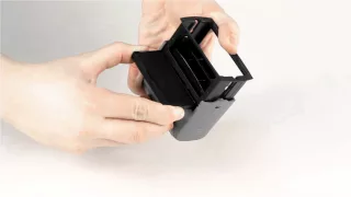                    دندنها