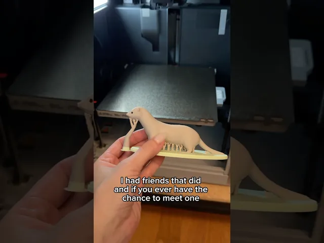 Ferret video thumbnail